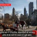 न्यूयॉर्क में घोड़ागाड़ियों पर लगेगी रोक! भारतीय पर्यटक रोमांच महाजन के नाम पर होगा कानून, जून 2028 तक बंद करने की तैयारी